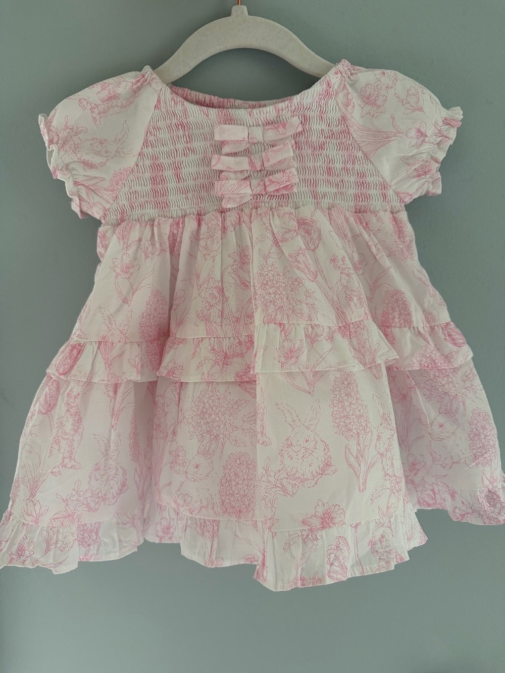 Janie and Jack Pink Floral and Bunny Ruffle Baby Girl Dress size 3-6m